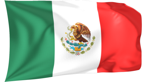 Looping Waving Flag Mexico
