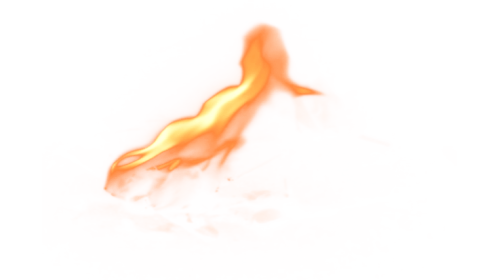 Micro Fire 1