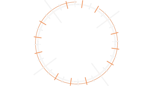 Mograph Circle Logo Accent 10