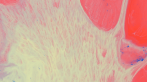 Motion Fluid 34