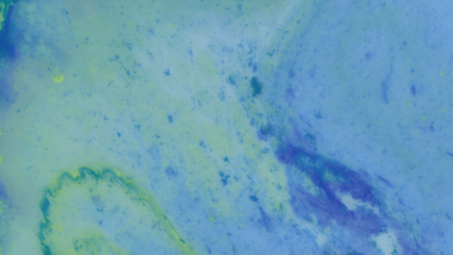 Motion Fluid 38