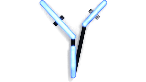 Neon Typekit Y