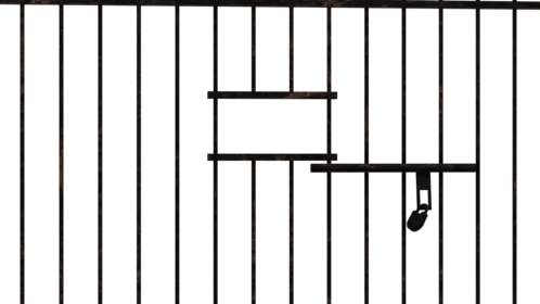 Rusty Jail Door Slam 6