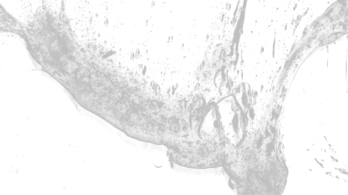 Slime Texture 7