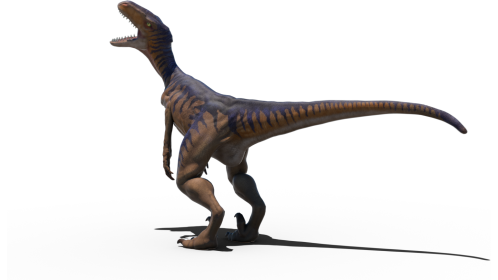Velociraptor Idle 5