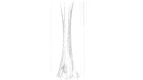 Vertical Slime Pull Up 11