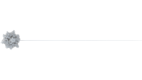 Web Style 1 Long 10