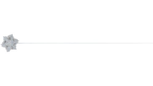 Web Style 1 Long 11