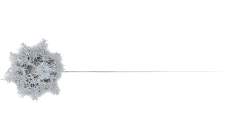 Web Style 1 Medium 10