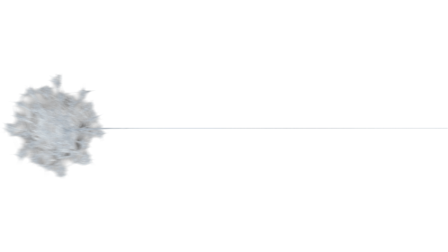 Web Style 2 Medium 6