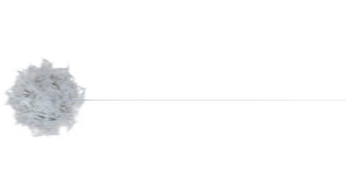 Web Style 2 Medium 7