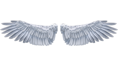 Looping Angel Wings Flapping 2