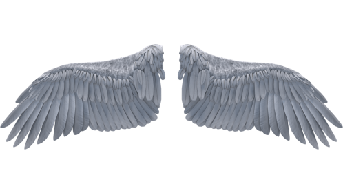 Looping Angel Wings Gliding 1