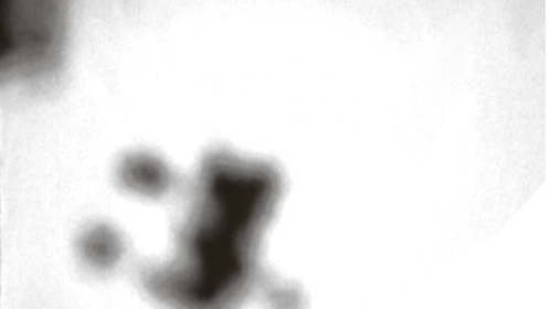 Mud Screen Hit