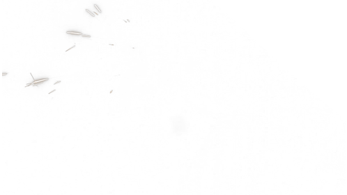 Sparks 17