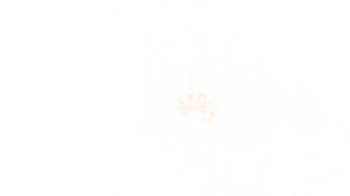 Sparks 19