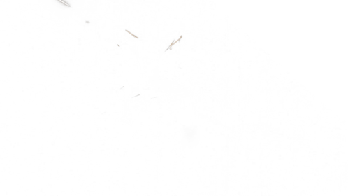 Sparks 7