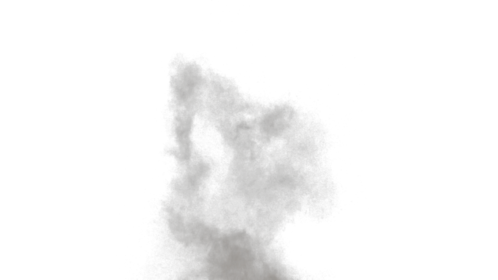 Dust Puff 1