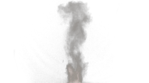 Dust Puff 3