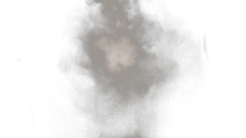 Dust Puff 5