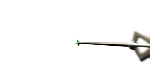 (4K) Arrow at Cam 2