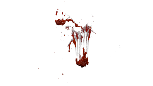 (4K) Gore On Wall 13