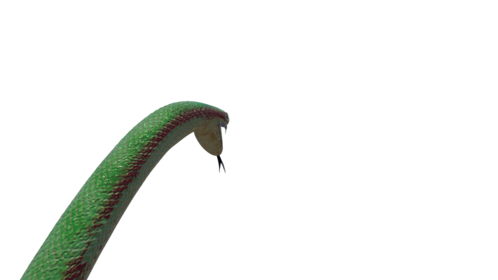 (4K) Green Python Attack 1