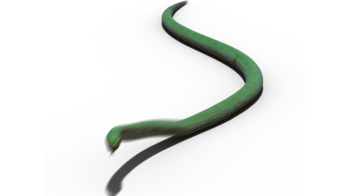 (4K) Green Python Moving 1