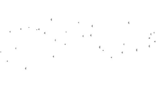 (4K) Murder Of Crows From Below 1