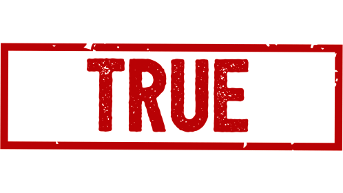 (4K) Rectangular Stamp True