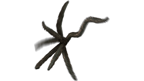 (4K) Tentacle At Camera
