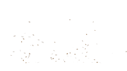 (4K) C/I Whirling Leaves Back 1