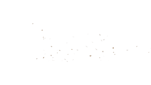 (4K) C/I Whirling Leaves Front 1