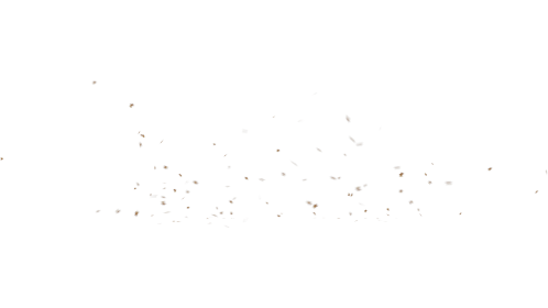 (4K) C/I Whirling Leaves Full 1
