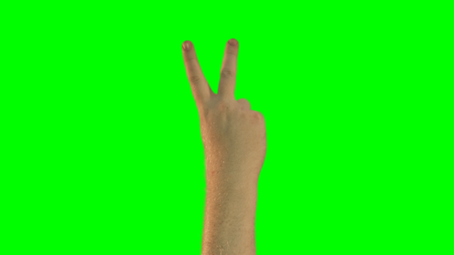 Adrian Wormhole Fingers