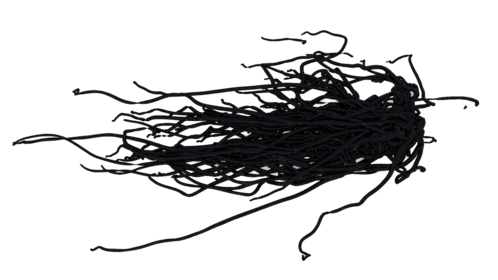 Alien Infection Spread
