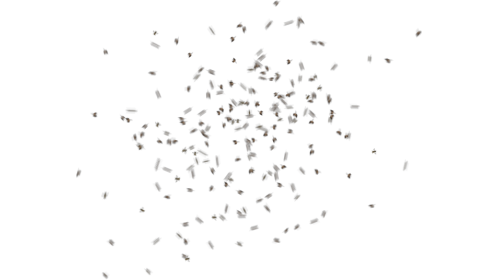 Bee Swarm Small Loopable