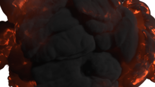 Birds Eye Explosion