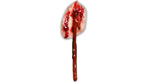 Bleeding Wound  5  Scratches