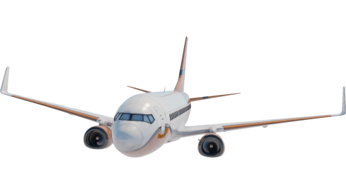 Boeing 737 Fly In