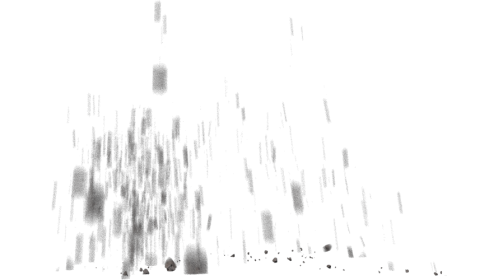 Ceiling Debris 2