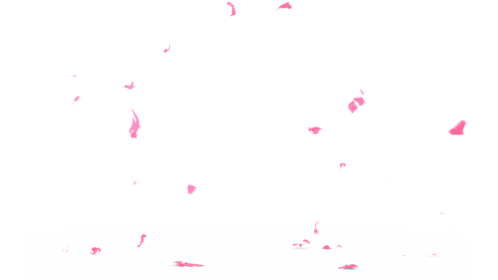 Cloth Pop 1