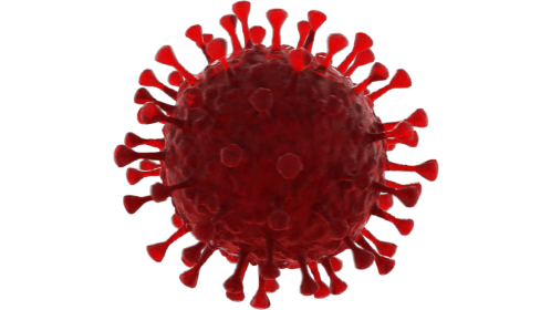 Looping Coronavirus Spinning 1