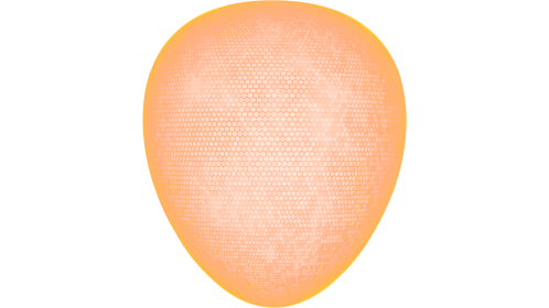Energy Shield 1