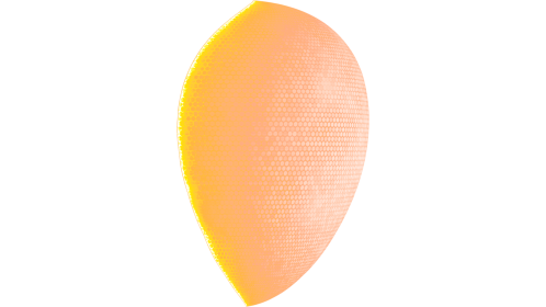 Energy Shield 4