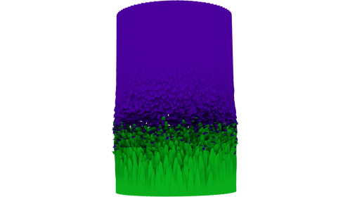 Feather Transition 1