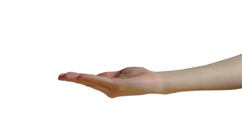(4K) Female Hand - Open Palm