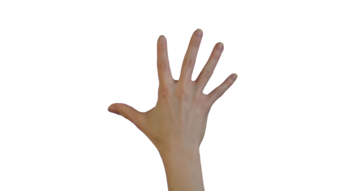 (4K) Female Hand - Scale Down