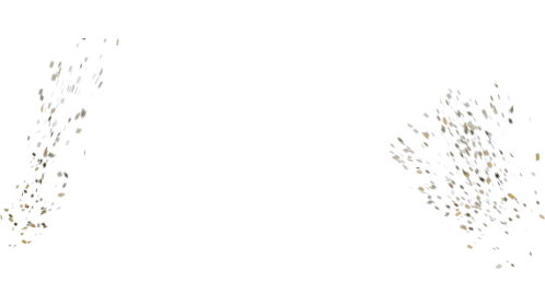 Gold Confetti Burst - Wide