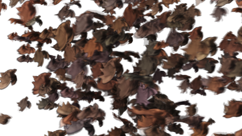 Halloween Bat Transition
